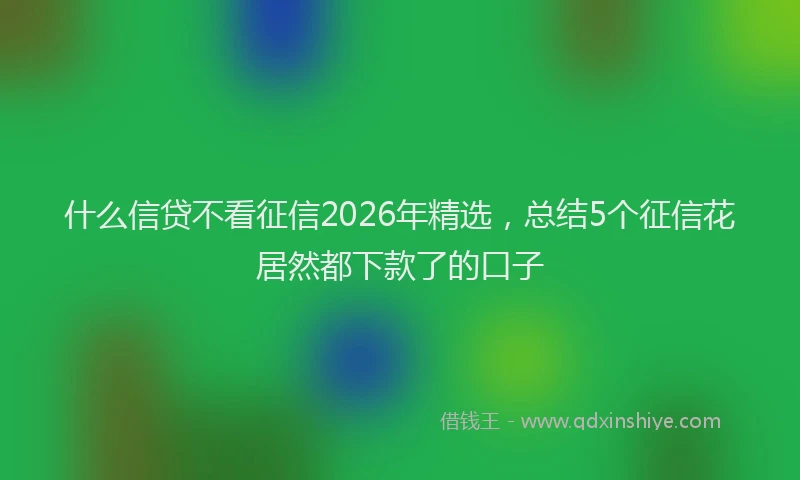 什么信贷不看征信2026年精选，总结5个征信花居然都下款了的口子
