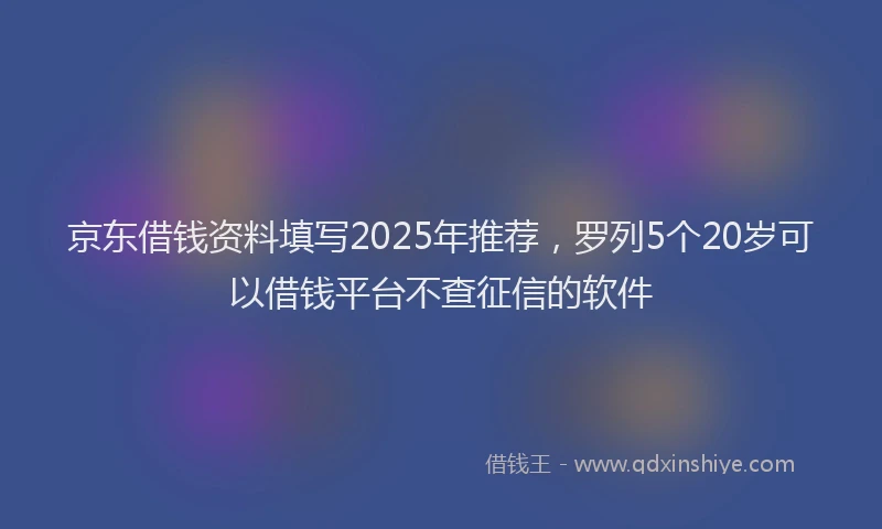 京东借钱资料填写2025年推荐，罗列5个20岁可以借钱平台不查征信的软件