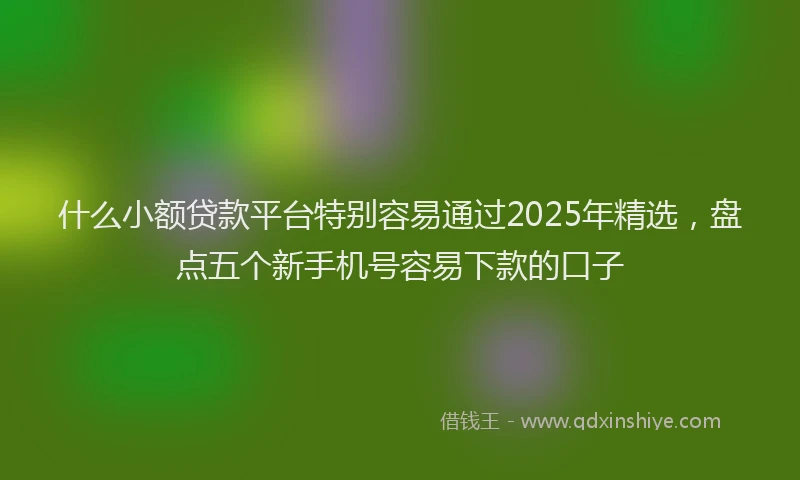 什么小额贷款平台特别容易通过2025年精选，盘点五个新手机号容易下款的口子