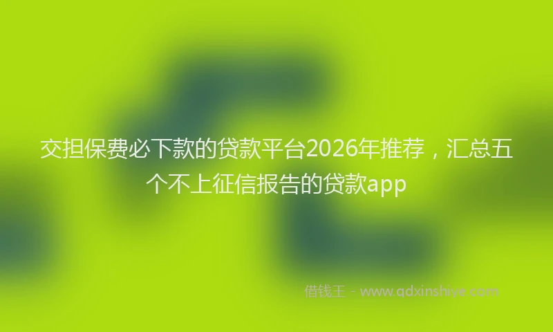 交担保费必下款的贷款平台2026年推荐，汇总五个不上征信报告的贷款app