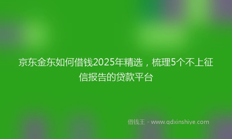 京东金东如何借钱2025年精选,梳理5个不上征信报告的贷款平台