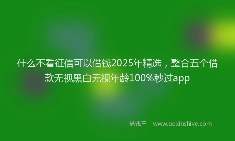 什么不看征信可以借钱2025年精选,整合五个借款无视黑白无视年龄100%秒过app