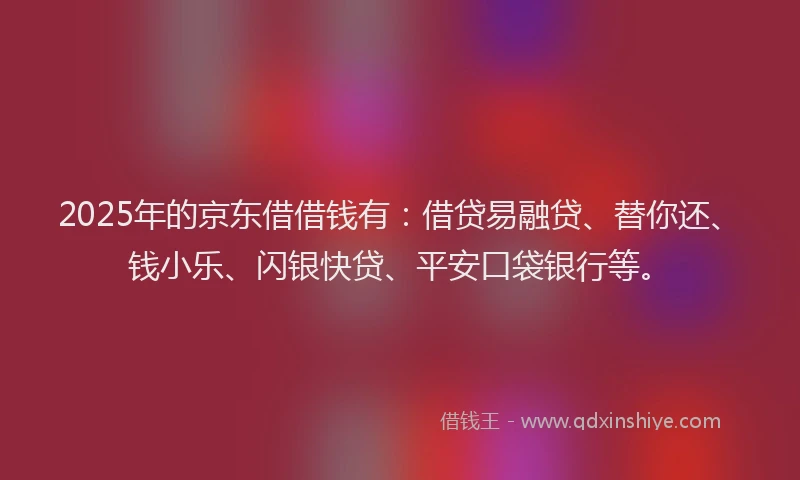 2025年的京东借借钱有：借贷易融贷、替你还、钱小乐、闪银快贷、平安口袋银行等。