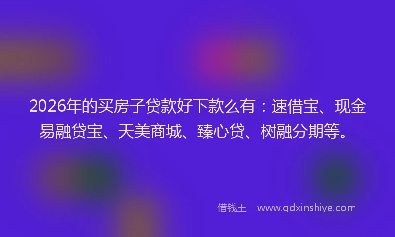 2026年的买房子贷款好下款么有：速借宝、现金易融贷宝、天美商城、臻心贷、树融分期等。