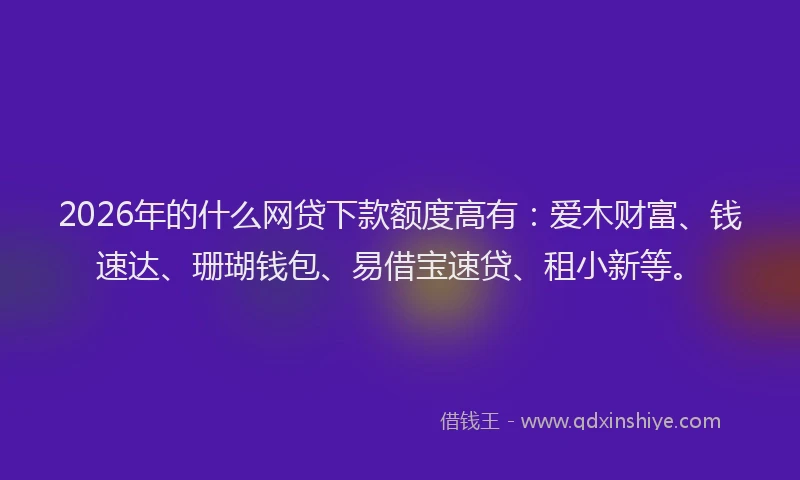 2026年的什么网贷下款额度高有：爱木财富、钱速达、珊瑚钱包、易借宝速贷、租小新等。