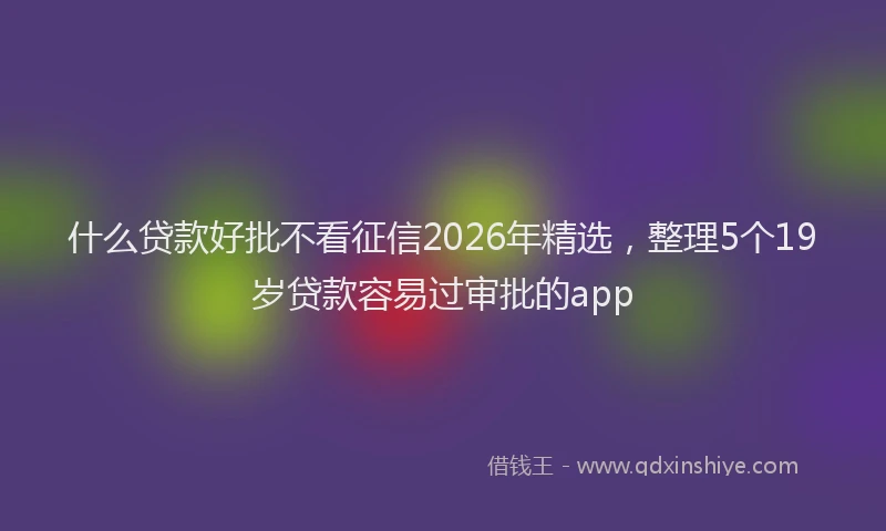 什么贷款好批不看征信2026年精选，整理5个19岁贷款容易过审批的app