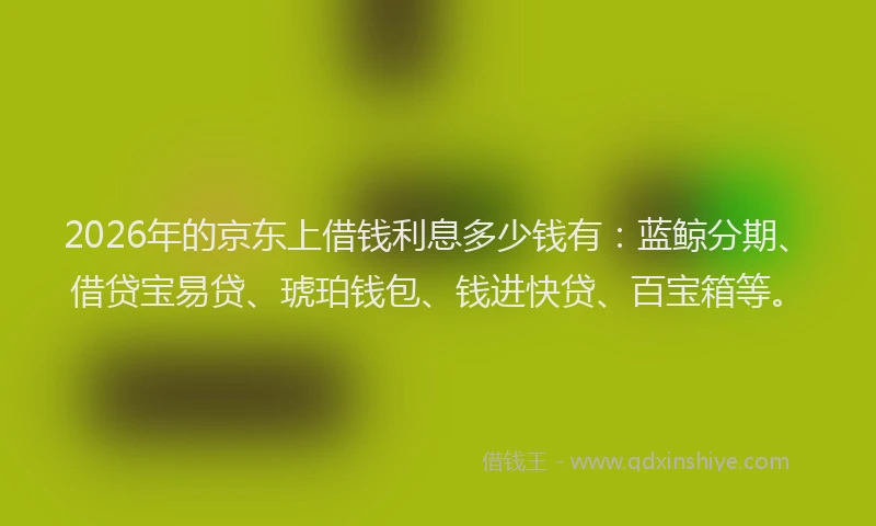 2026年的京东上借钱利息多少钱有：蓝鲸分期、借贷宝易贷、琥珀钱包、钱进快贷、百宝箱等。