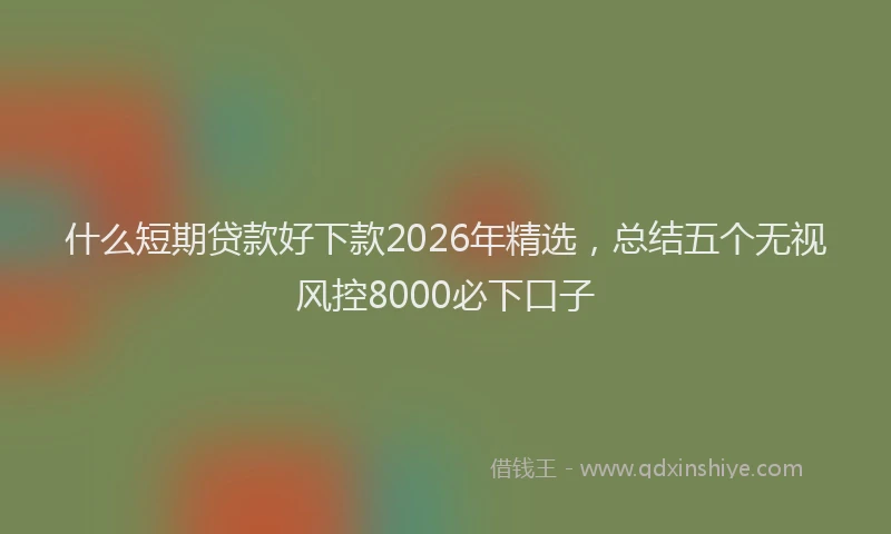 什么短期贷款好下款2026年精选，总结五个无视风控8000必下口子