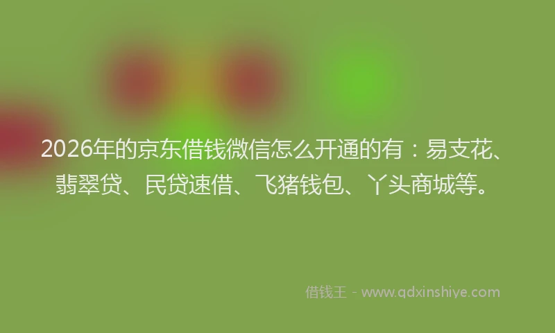 2026年的京东借钱微信怎么开通的有:易支花、翡翠贷、民贷速借、飞猪钱包、丫头商城等。