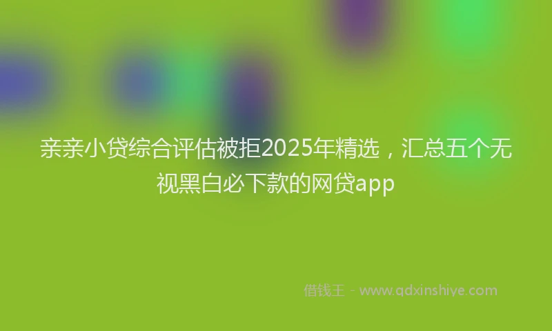 亲亲小贷综合评估被拒2025年精选，汇总五个无视黑白必下款的网贷app