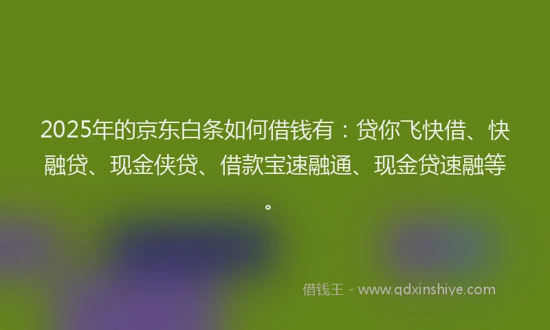 2025年的京东白条如何借钱有：贷你飞快借、快融贷、现金侠贷、借款宝速融通、现金贷速融等。