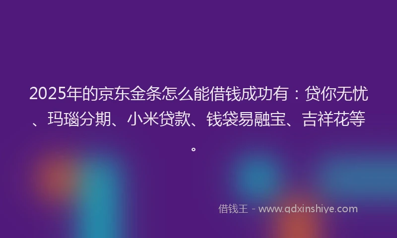2025年的京东金条怎么能借钱成功有：贷你无忧、玛瑙分期、小米贷款、钱袋易融宝、吉祥花等。