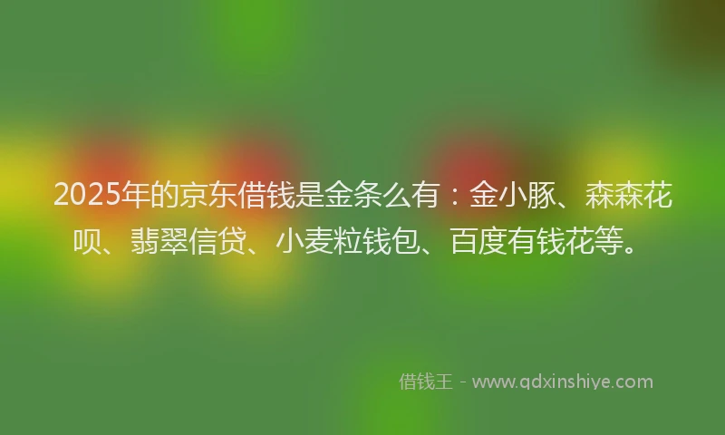 2025年的京东借钱是金条么有：金小豚、森森花呗、翡翠信贷、小麦粒钱包、百度有钱花等。