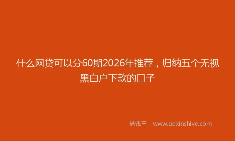 什么网贷可以分60期2026年推荐,归纳五个无视黑白户下款的口子