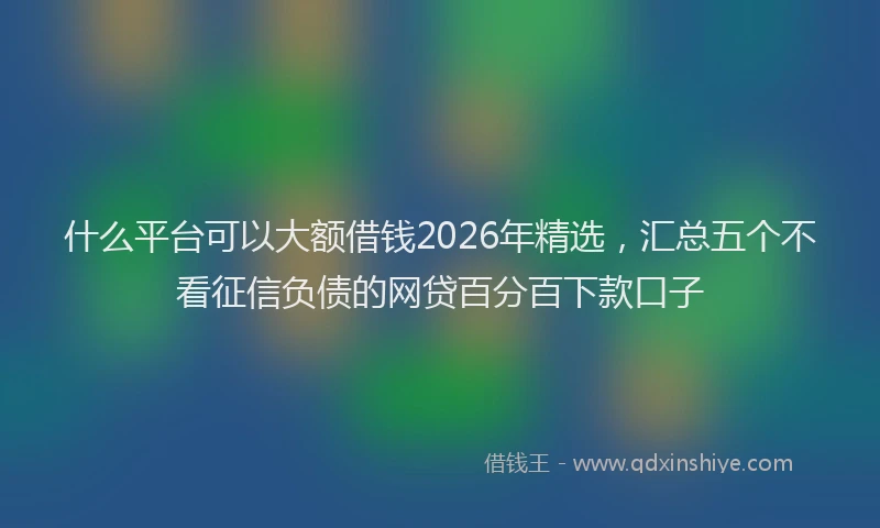 什么平台可以大额借钱2026年精选，汇总五个不看征信负债的网贷百分百下款口子