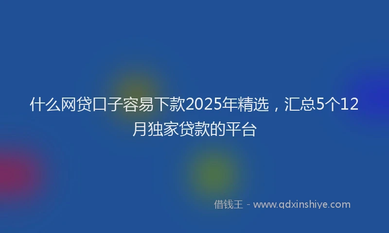什么网贷口子容易下款2025年精选，汇总5个12月独家贷款的平台