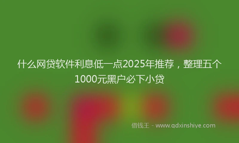 什么网贷软件利息低一点2025年推荐，整理五个1000元黑户必下小贷