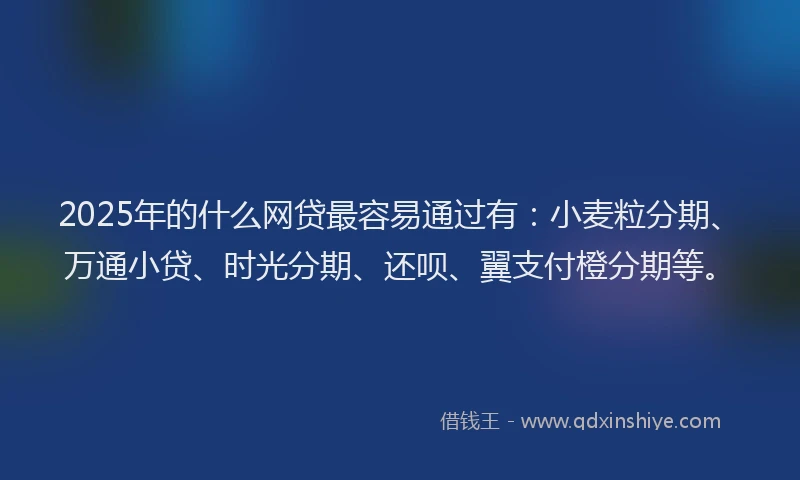 2025年的什么网贷最容易通过有：小麦粒分期、万通小贷、时光分期、还呗、翼支付橙分期等。