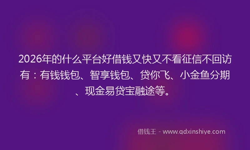 2026年的什么平台好借钱又快又不看征信不回访有：有钱钱包、智享钱包、贷你飞、小金鱼分期、现金易贷宝融途等。