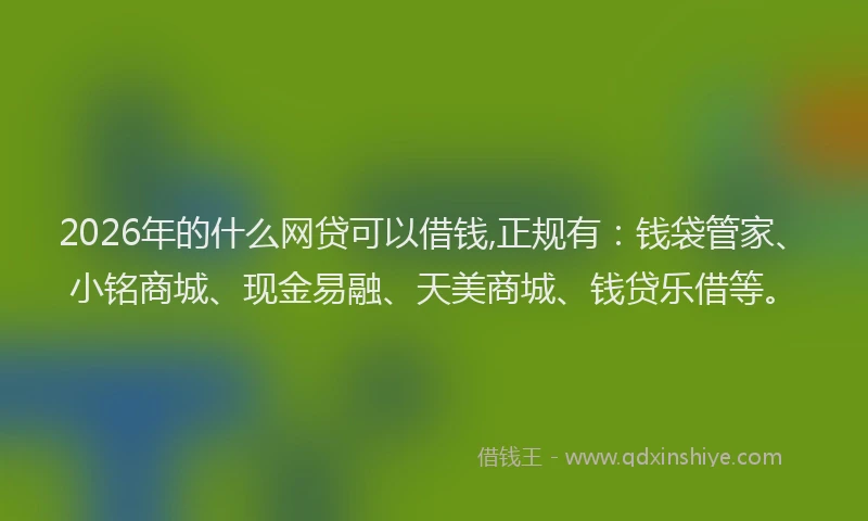 2026年的什么网贷可以借钱,正规有：钱袋管家、小铭商城、现金易融、天美商城、钱贷乐借等。