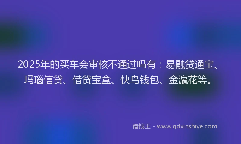 2025年的买车会审核不通过吗有：易融贷通宝、玛瑙信贷、借贷宝盒、快鸟钱包、金瀛花等。
