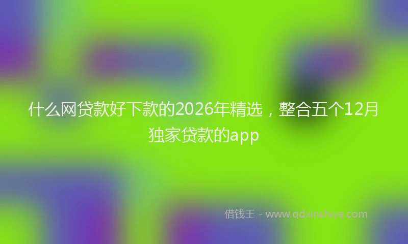 什么网贷款好下款的2026年精选，整合五个12月独家贷款的app