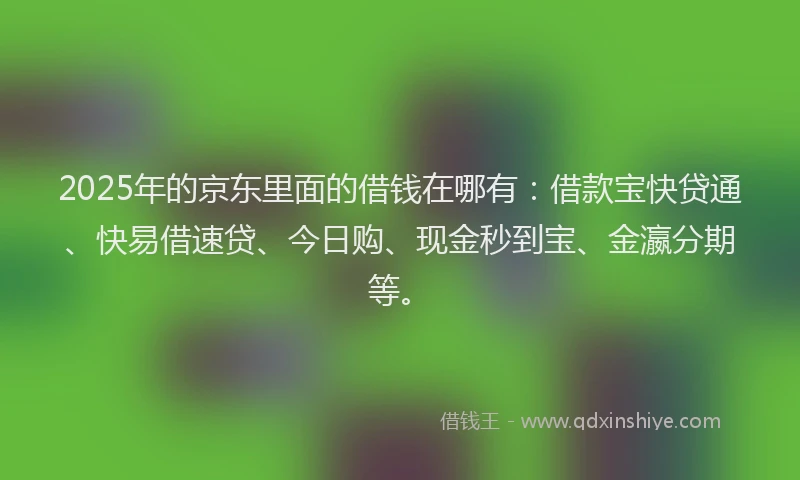 2025年的京东里面的借钱在哪有：借款宝快贷通、快易借速贷、今日购、现金秒到宝、金瀛分期等。