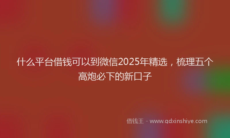 什么平台借钱可以到微信2025年精选，梳理五个高炮必下的新口子