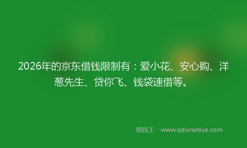 2026年的京东借钱限制有：爱小花、安心购、洋葱先生、贷你飞、钱袋速借等。