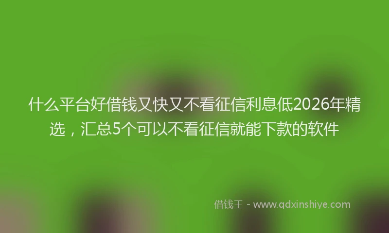 什么平台好借钱又快又不看征信利息低2026年精选，汇总5个可以不看征信就能下款的软件