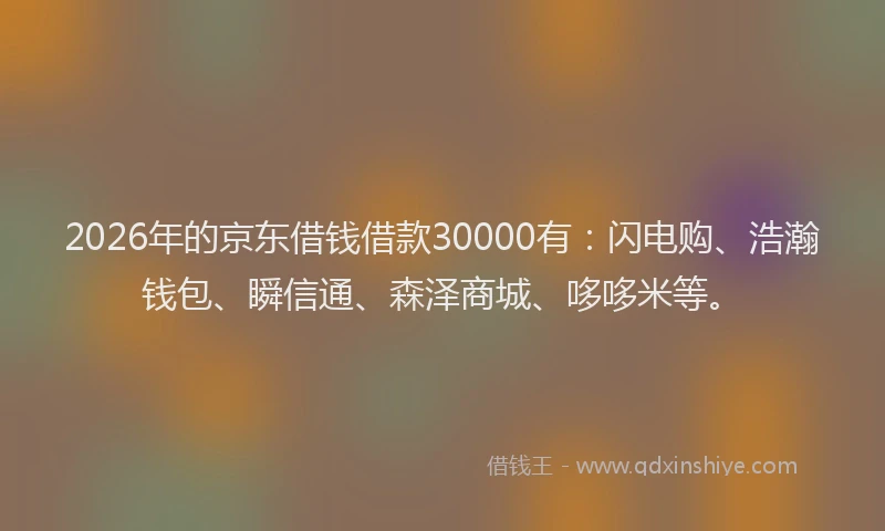 2026年的京东借钱借款30000有：闪电购、浩瀚钱包、瞬信通、森泽商城、哆哆米等。