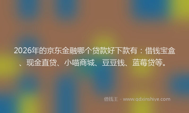 2026年的京东金融哪个贷款好下款有：借钱宝盒、现金直贷、小喵商城、豆豆钱、蓝莓贷等。