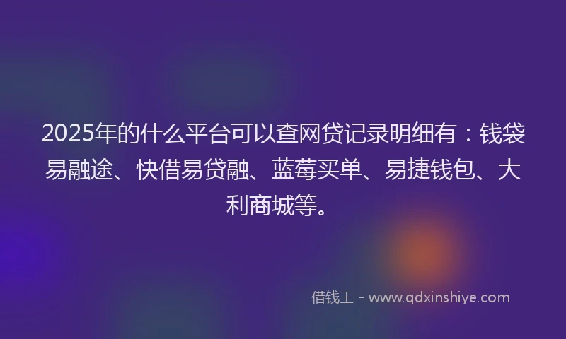 2025年的什么平台可以查网贷记录明细有:钱袋易融途、快借易贷融、蓝莓买单、易捷钱包、大利商城等。