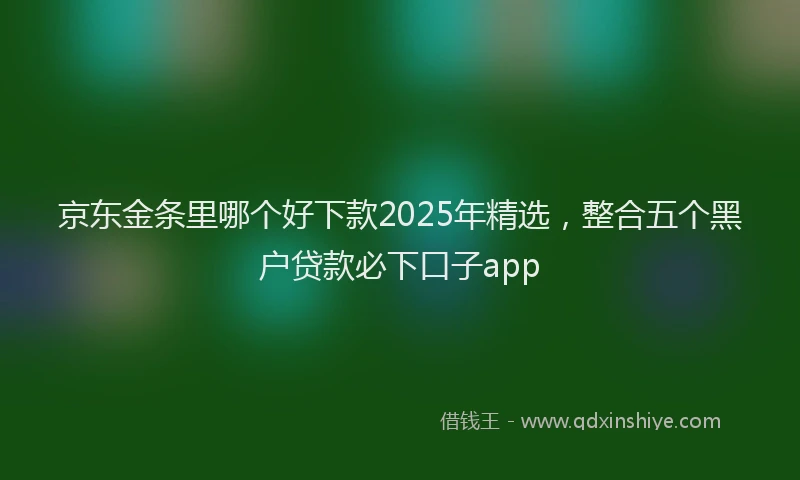 京东金条里哪个好下款2025年精选，整合五个黑户贷款必下口子app
