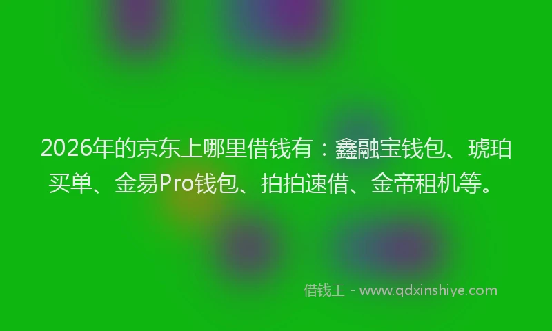 2026年的京东上哪里借钱有：鑫融宝钱包、琥珀买单、金易Pro钱包、拍拍速借、金帝租机等。