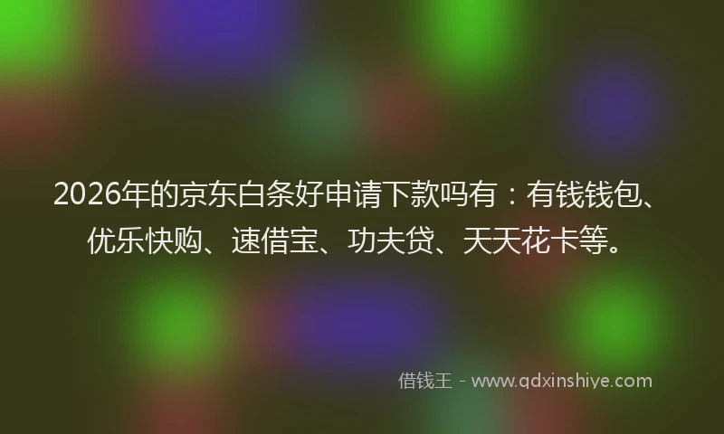 2026年的京东白条好申请下款吗有：有钱钱包、优乐快购、速借宝、功夫贷、天天花卡等。