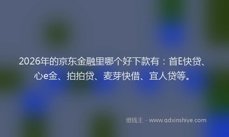2026年的京东金融里哪个好下款有：首E快贷、心e金、拍拍贷、麦芽快借、宜人贷等。