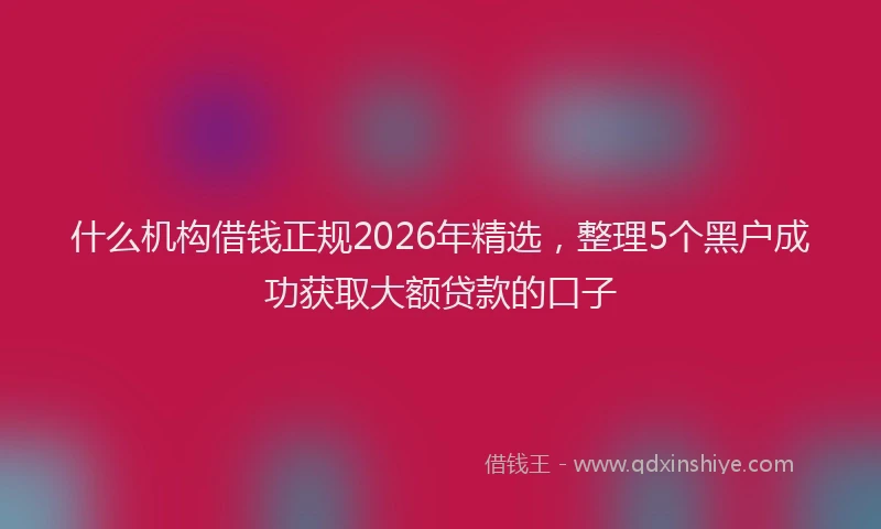 什么机构借钱正规2026年精选，整理5个黑户成功获取大额贷款的口子