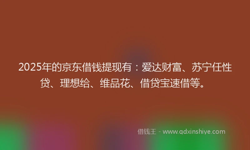 2025年的京东借钱提现有：爱达财富、苏宁任性贷、理想给、维品花、借贷宝速借等。