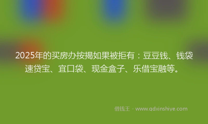 2025年的买房办按揭如果被拒有：豆豆钱、钱袋速贷宝、宜口袋、现金盒子、乐借宝融等。