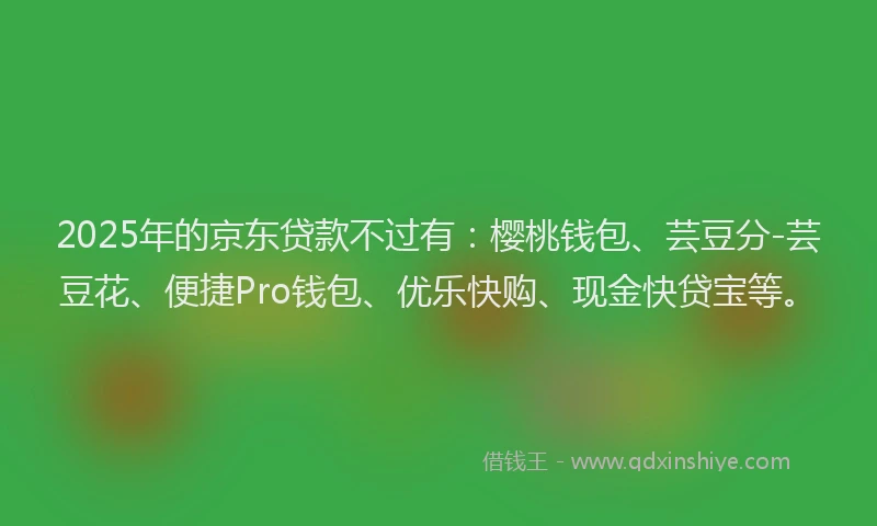 2025年的京东贷款不过有:樱桃钱包、芸豆分-芸豆花、便捷Pro钱包、优乐快购、现金快贷宝等。