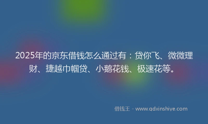 2025年的京东借钱怎么通过有：贷你飞、微微理财、捷越巾帼贷、小鹅花钱、极速花等。