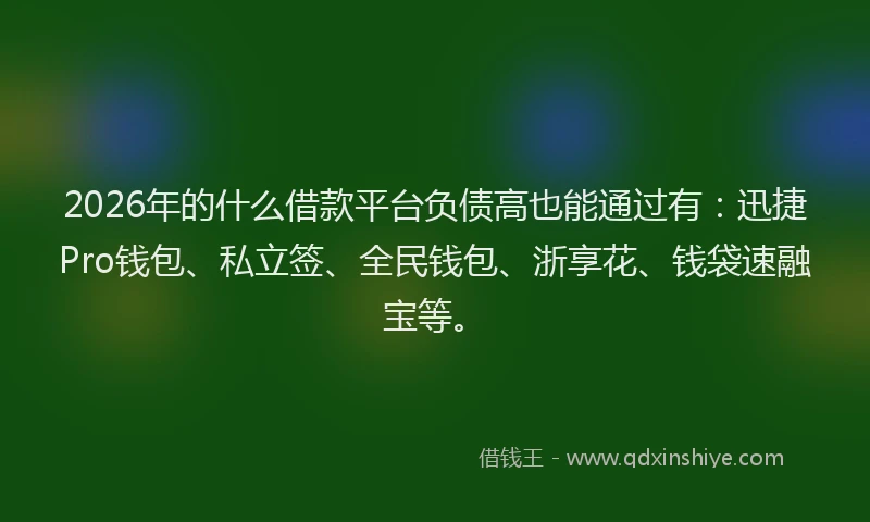 2026年的什么借款平台负债高也能通过有：迅捷Pro钱包、私立签、全民钱包、浙享花、钱袋速融宝等。