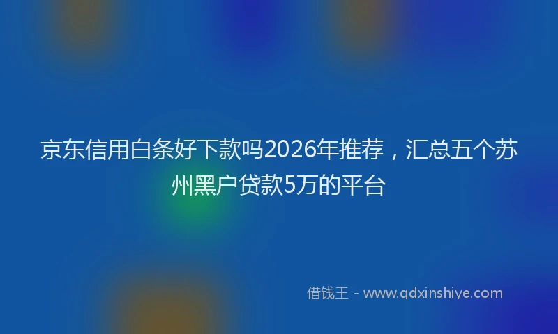 京东信用白条好下款吗2026年推荐，汇总五个苏州黑户贷款5万的平台