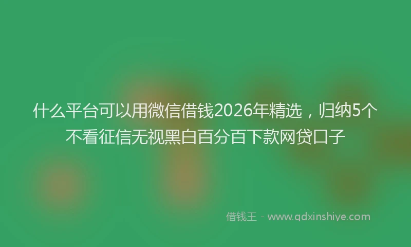 什么平台可以用微信借钱2026年精选,归纳5个不看征信无视黑白百分百下款网贷口子