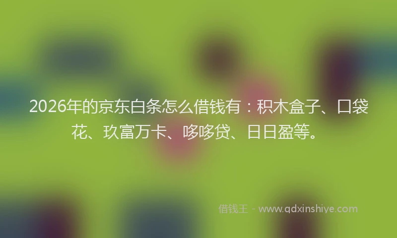 2026年的京东白条怎么借钱有:积木盒子、口袋花、玖富万卡、哆哆贷、日日盈等。