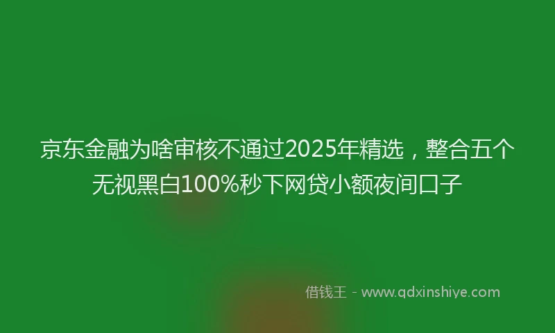 京东金融为啥审核不通过2025年精选，整合五个无视黑白100%秒下网贷小额夜间口子