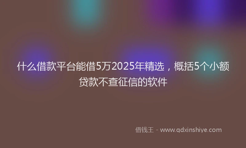 什么借款平台能借5万2025年精选，概括5个小额贷款不查征信的软件