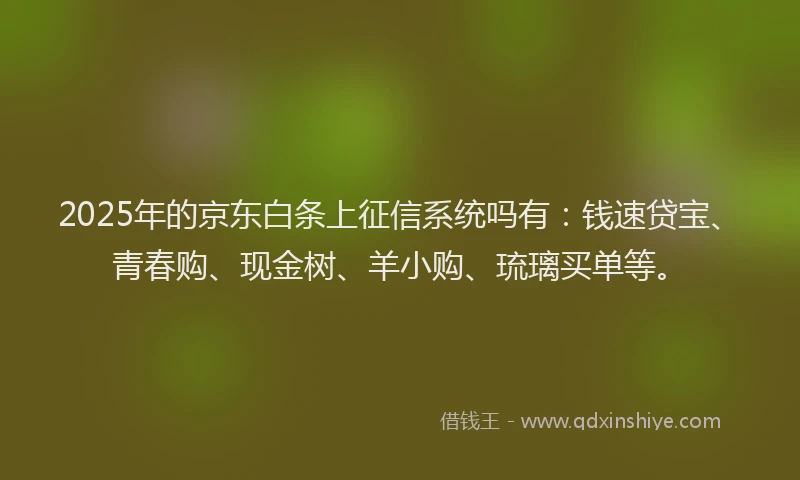 2025年的京东白条上征信系统吗有：钱速贷宝、青春购、现金树、羊小购、琉璃买单等。