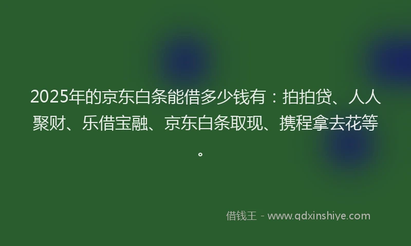 2025年的京东白条能借多少钱有：拍拍贷、人人聚财、乐借宝融、京东白条取现、携程拿去花等。